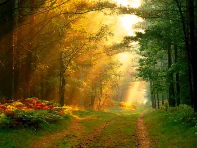 Akordy do twoja miłość jak ciepły deszcz – zagraj łatwo i pięknie Akordy do twoja miłość jak ciepły deszcz – zagraj łatwo i pięknie