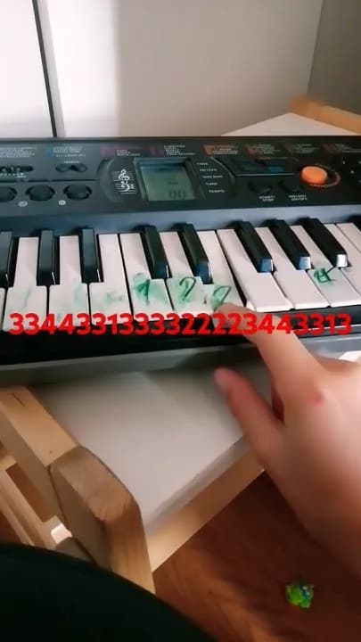 Jak zagrać na organach - proste techniki dla początkujących muzyków Jak zagrać na organach - proste techniki dla początkujących muzyków