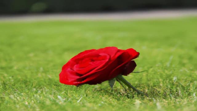 Tekst piosenki czekam na wiatr co rozgoni - odkryj emocje i znaczenie Tekst piosenki czekam na wiatr co rozgoni - odkryj emocje i znaczenie